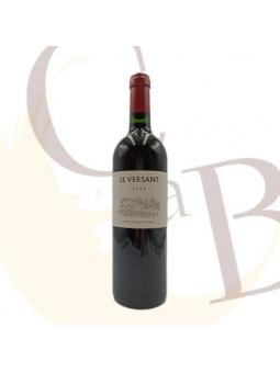 COTES DE CASTILLON "LE VERSANT" 2020 - 14.5°vol - 75cl