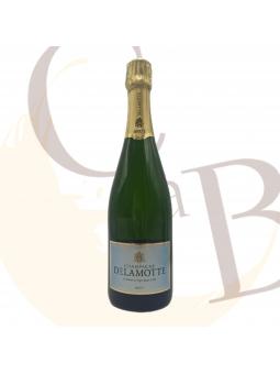 DELAMOTTE Brut - 12°vol - 75cl